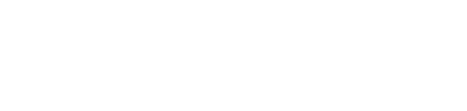 全程指导