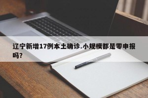 辽宁新增17例本土确诊.小规模都是零申报吗？