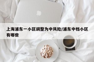 上海浦东一小区调整为中风险/浦东中档小区有哪些