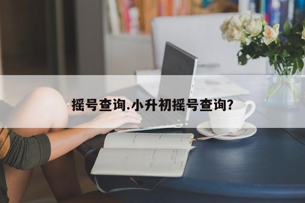 摇号查询.小升初摇号查询?