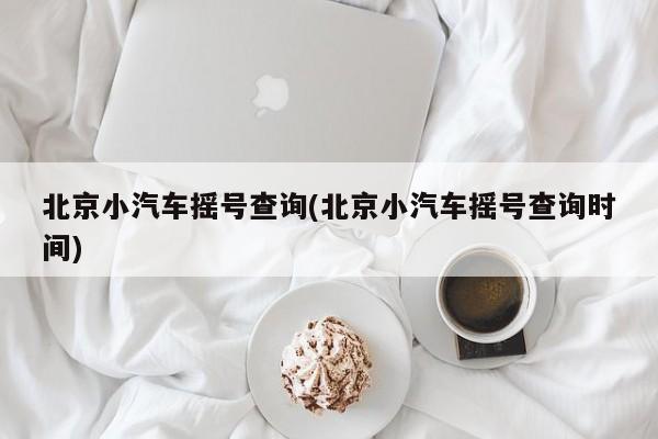 北京小汽车摇号查询(北京小汽车摇号查询时间)